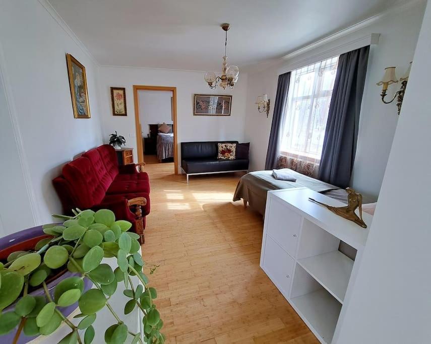 Spacious Apartment -Top Location Akureyri Exteriör bild